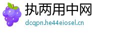 执两用中网